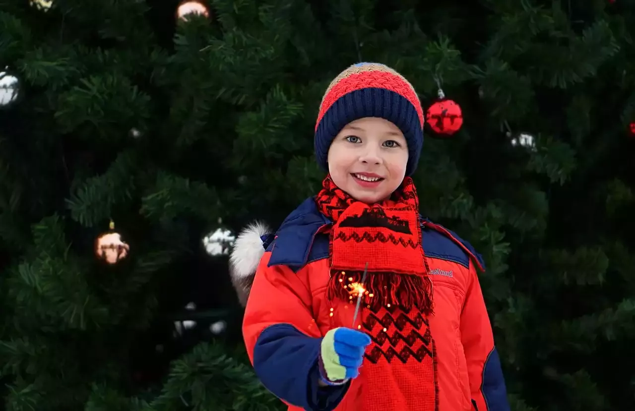Outdoor Christmas Decorations: Tips for a Stunning Display